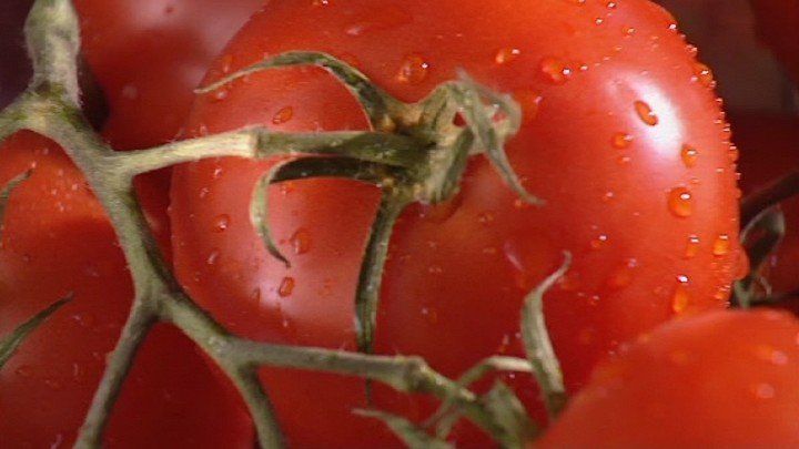 pl@net.com V: Food and Farming