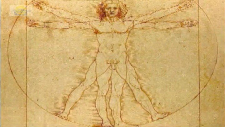 Anatomy & Physiology: An Introduction