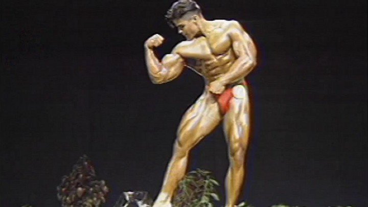 The Muscular System
