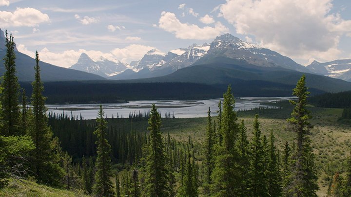 The Hydrologic Cycle