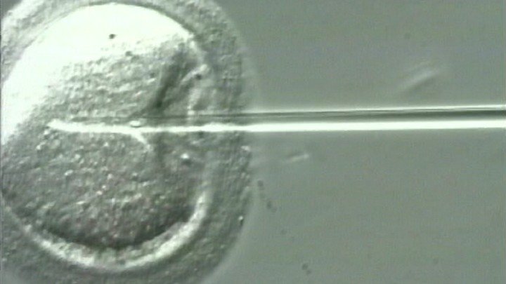 Baby Making – The New A.R.T. of Life