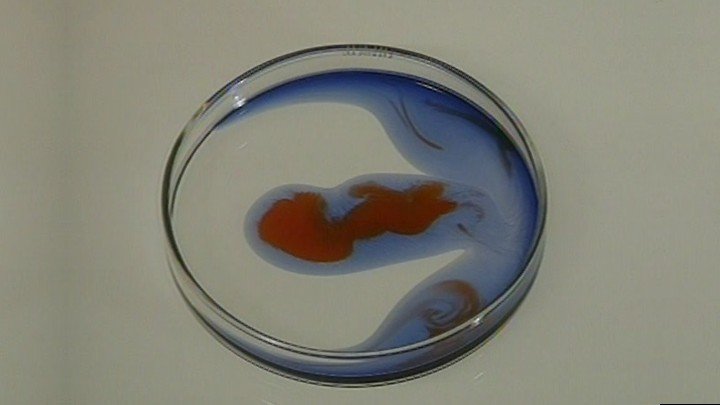 Chemical Equilibrium