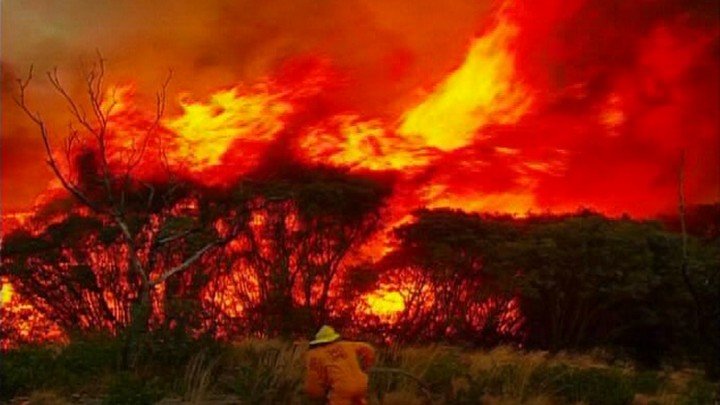 Natural Disasters – Senior