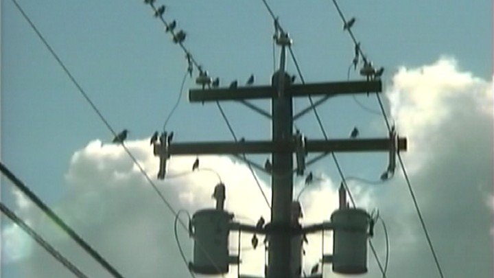 Power Lines and Transformers