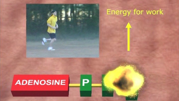F.A.P. –  Energy Systems
