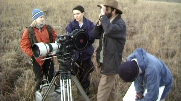 The Construction of Meaning in Film