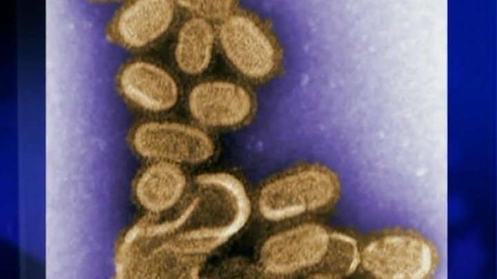 H1N1 and Women