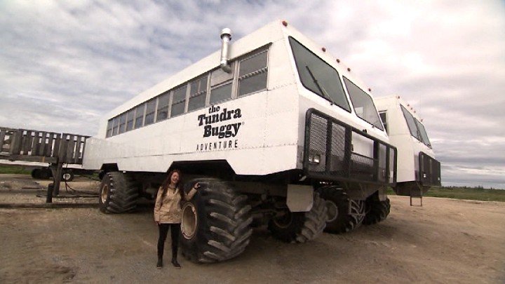 Tundra Buggy