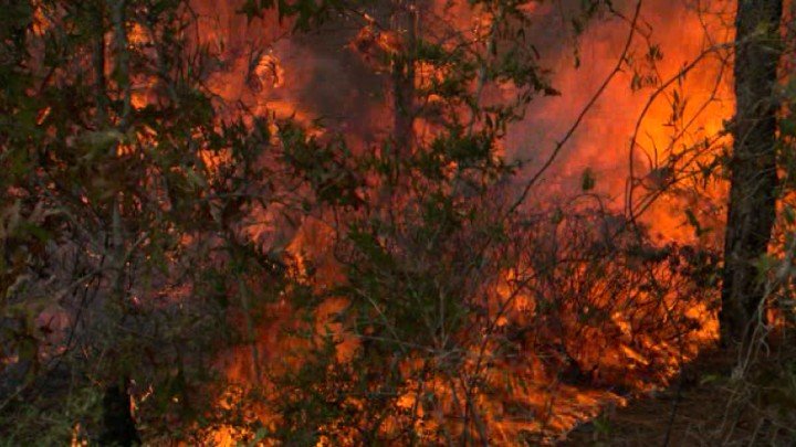 Controlled Burn