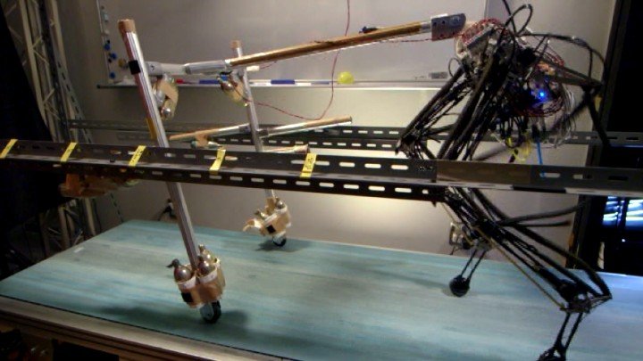 Cheetah Bot