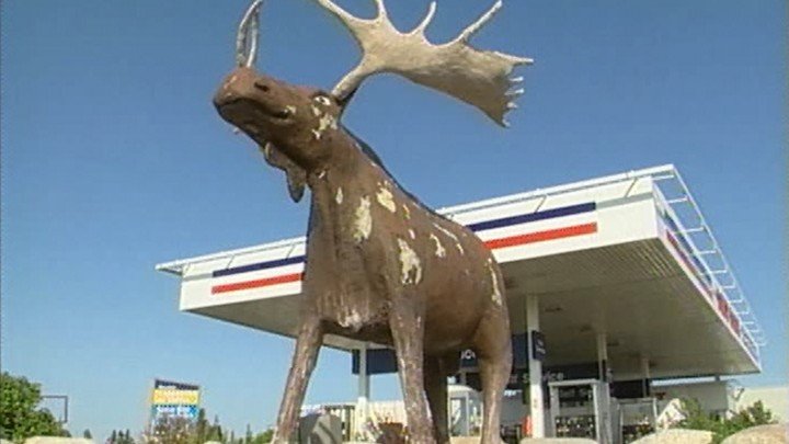 Exploring the Big Hill – Gros Morne, Newfoundland