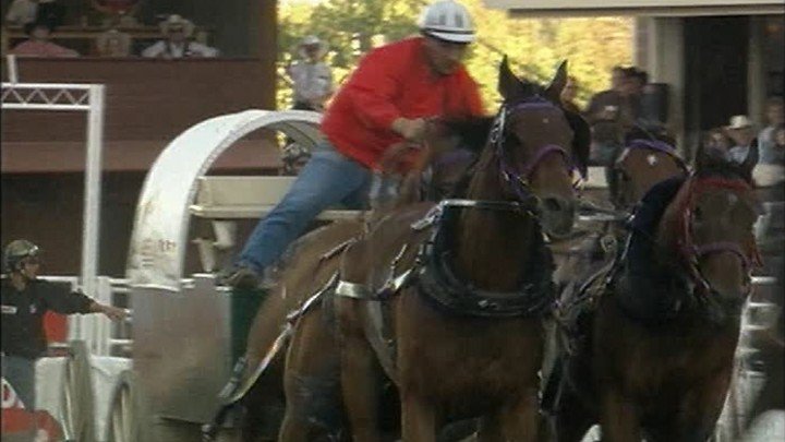 Stampede! – The Calgary Stampede