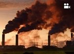 Crimes Against the Environment